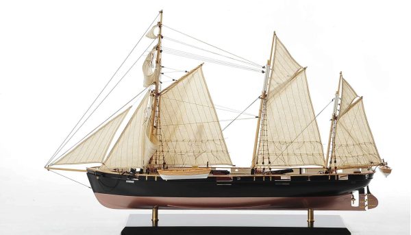 HMS Cockchafer Model Boat