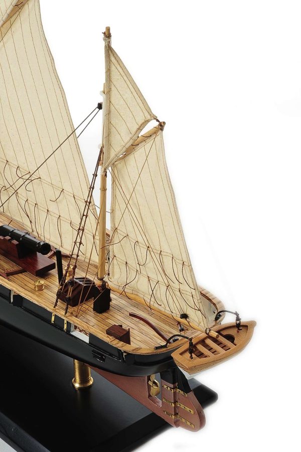 HMS Cockchafer Model Boat