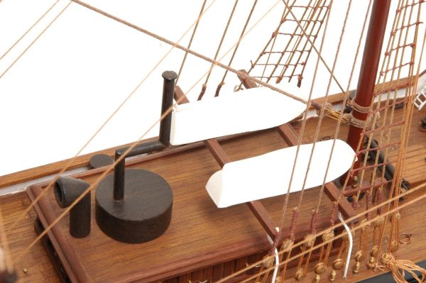 Dunedin Model Ship (Premier Range) - PSM