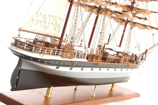 Dunedin Model Ship (Premier Range) - PSM