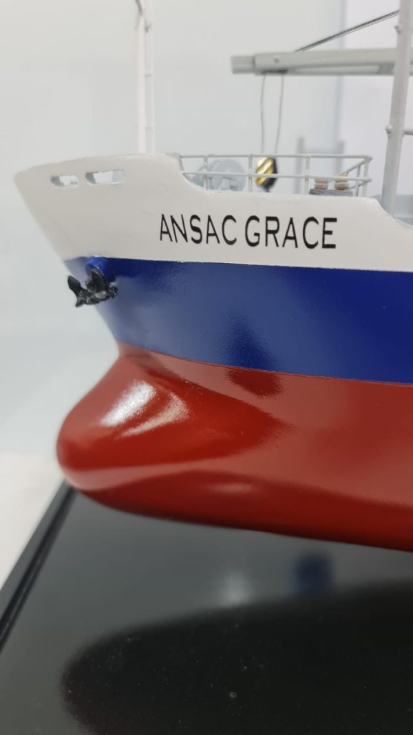 Ansac Grace Bulk Carrier Model - PSM0030