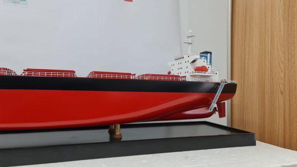 MV Riruccia Bulk Carrier Model - PSM0031