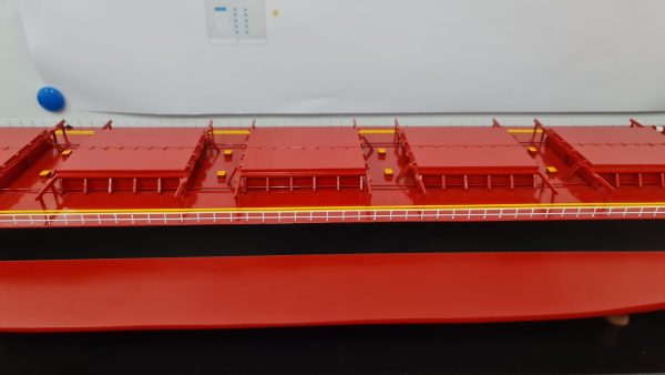 MV Riruccia Bulk Carrier Model - PSM0031